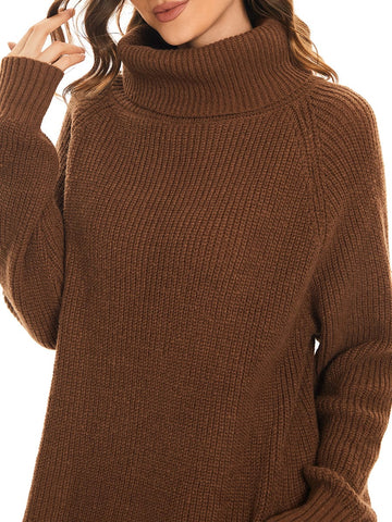 Long Sleeve Turtleneck Short Sweater Dress With Pocket